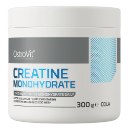 Ostrovit Creatine Monohydrate - 300g