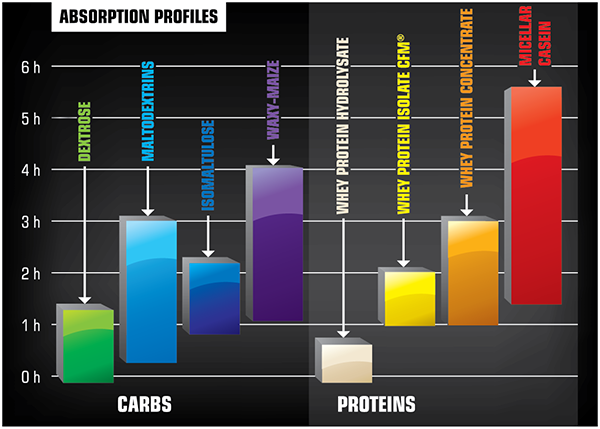 Olimp Profi Mass - 1000g